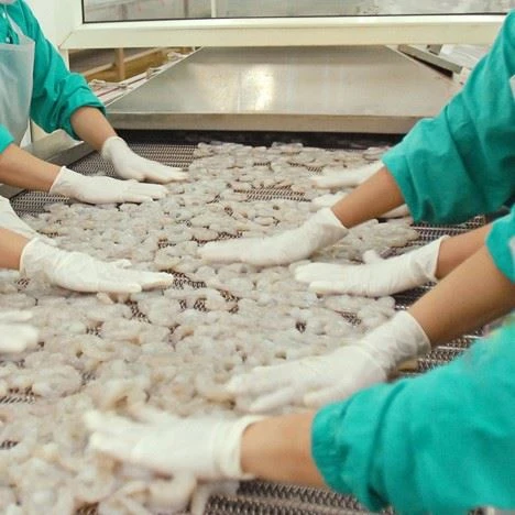latex gloves used in food industry